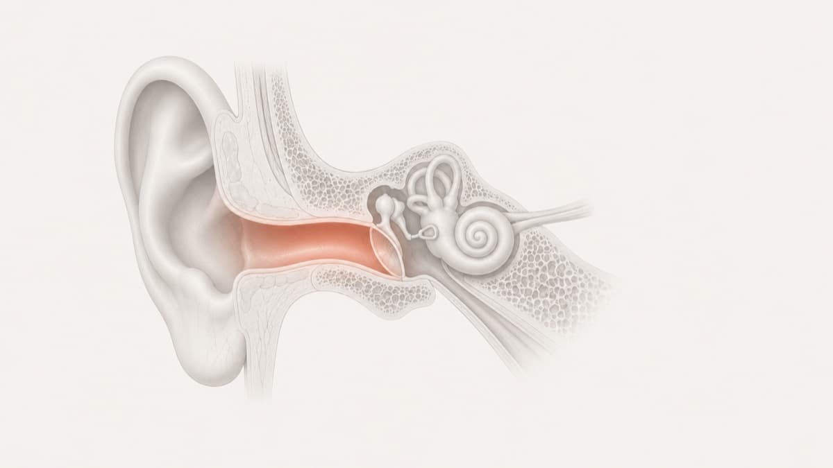 Medical illustration of professional ear wax removal showing ear canal and cerumen extraction by ENT specialist: ear cleaning Manila and Makati