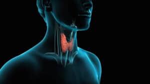 thyroid-gland